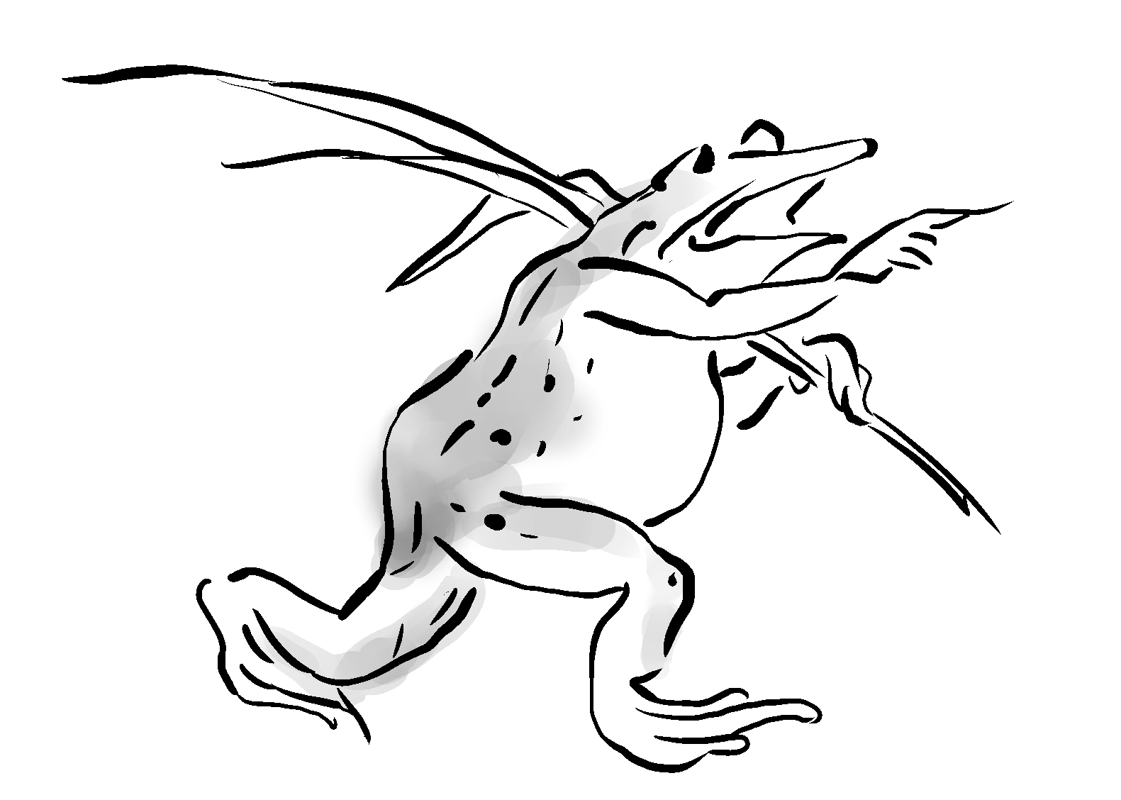 鳥獣戯画素材 Kedoblog倉庫